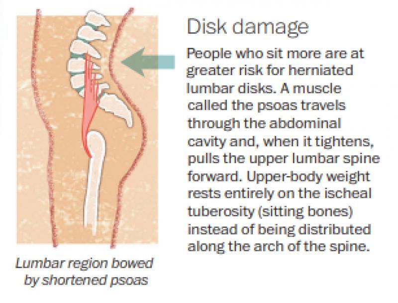 What Does Sitting All Day REALLY Do To Our Bodies?