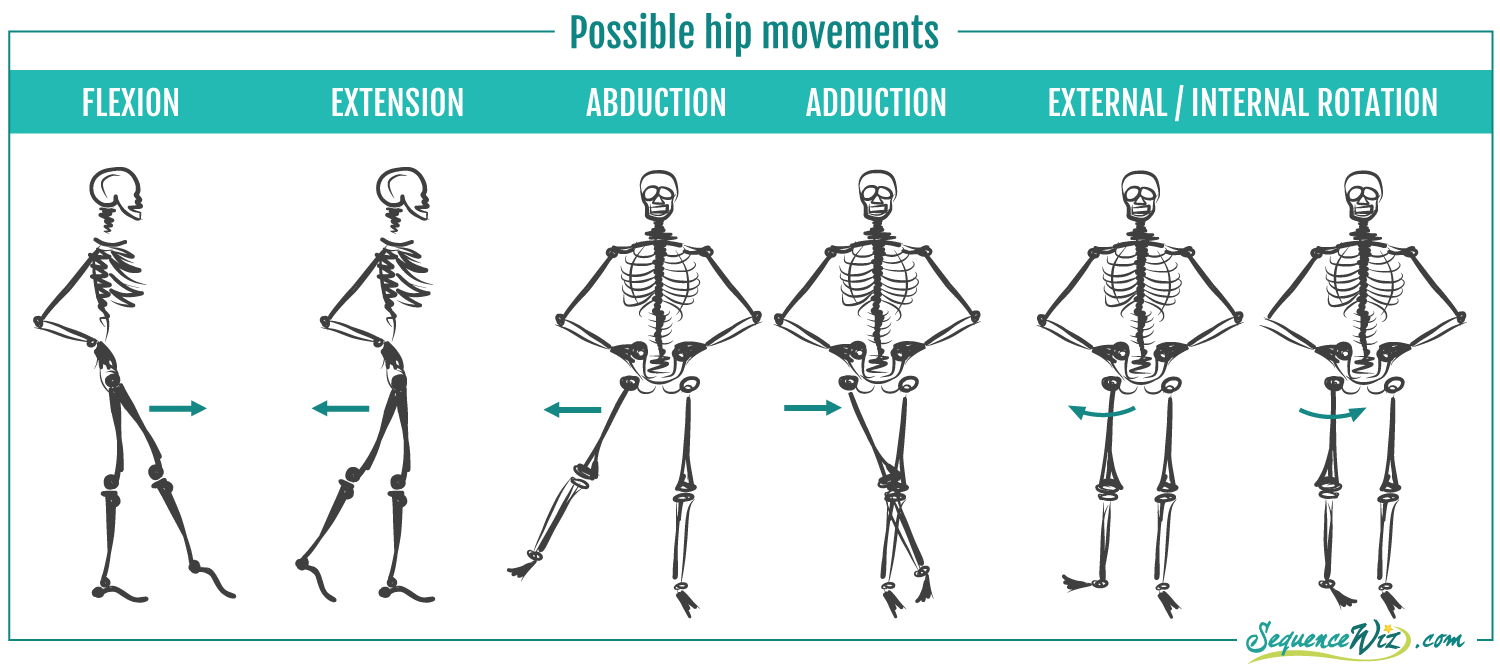 Hip Flexors & Strong Glutes: Creating A Balance - Recent Blog Post -  Peninsula Chiropractic of Niagara